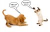 cat-dog-fight..jpg