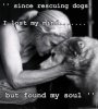 Since-rescuing-dogs-I-lost-my-mind...but-found-my-soul...jpg