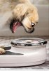 funny-picture-dog-on-a-weight-scale-555x785.jpg