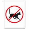 no_entry_for_cats_post_cards-r86a9daa5a1ba4e99964fe16359ade2d3_vgbaq_8byvr_152.jpg