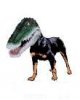 CROCODOG-110x137..jpg