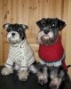 2schnauzer.jpg