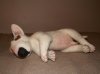 needle-felted-bull-terrier-pup-2.jpg