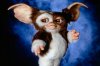 gremlins-gizmo.jpg