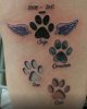 2a00f0c2e557ef3b05d2bdf2365d3a5c--dumbo-tattoo-tattoo-paws-dog.jpg