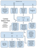 canine flow chart.png