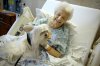 dog-and-elderly..jpg