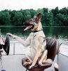 dog-boat-dog..jpg