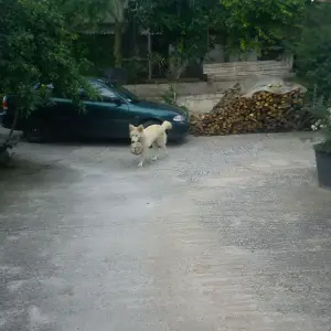 με την αγαπημενη μπαλα που δεν αποχωριζετε ποτε!!